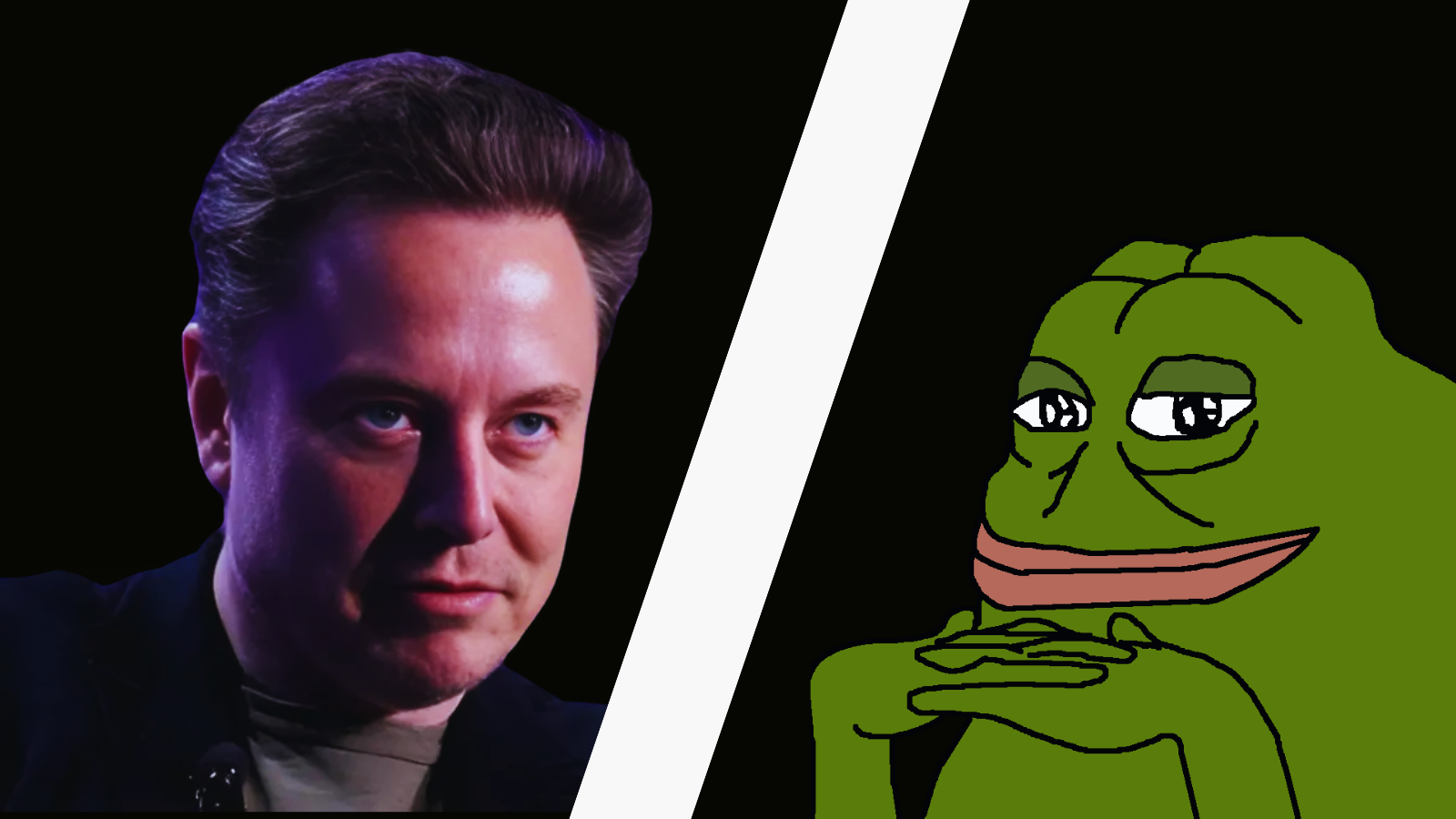 Musk Melts Down, Cancels America First Brigade